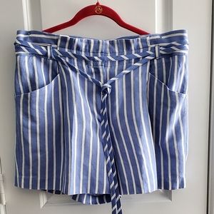 Ann Taylor Pin Stripe Shorts